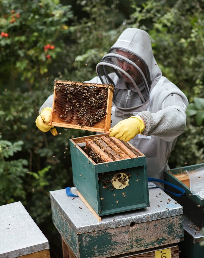 天猫国际 天猫国际